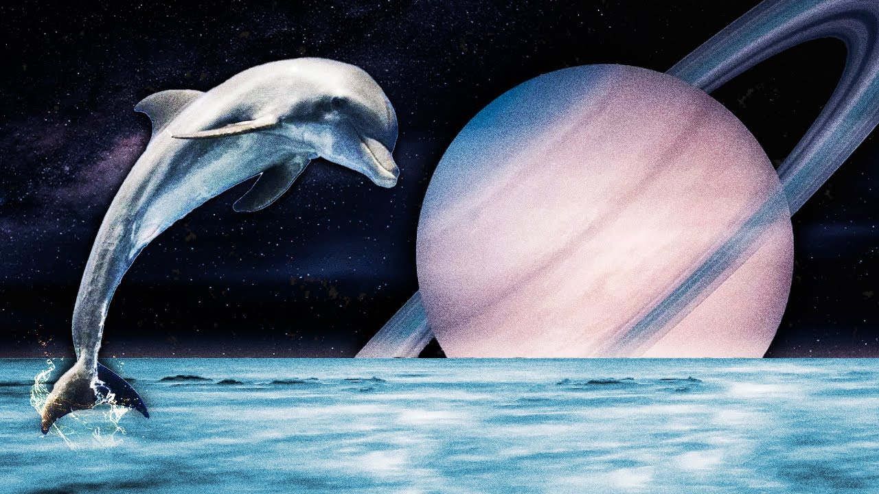 existem GOLFINHOS em OUTROS PLANETAS