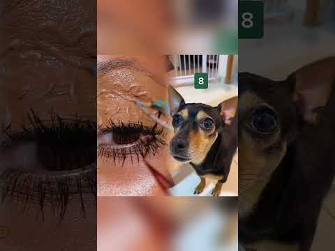 Ela sabe muito sobre você #pet #foryoupage #animais