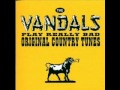 Goop All Over My Phone (pleasant all over the bill) - The Vandals