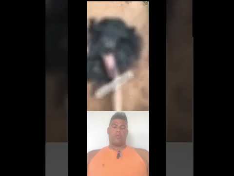 homem foi encontrado morto carbonizado em Bom conselho PE 24/19/2026#noticias