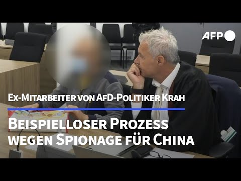 Beispielloser Spionageprozess gegen Ex-Mitarbeiter von AfD-Politiker Krah | AFP