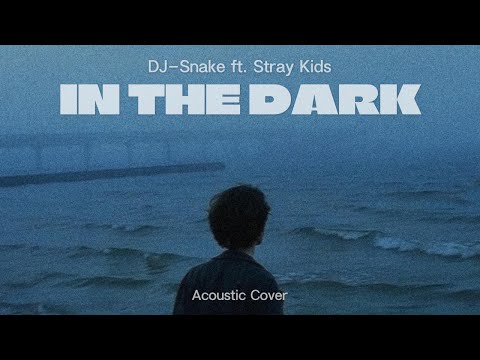 In The Dark - DJ Snake ft.Stray Kids (Acoustic Cover)