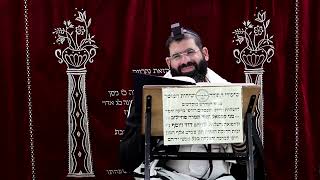 זבחים דף קט"ז ע"א ¤ הרב נתנאל אברז'ל ¤ בית הכנסת "בית מרדכי" (מוסדות תורת דוד) - התמונה מוצגת ישירות מתוך אתר האינטרנט יוטיוב. זכויות היוצרים בתמונה שייכות ליוצרה. קישור קרדיט למקור התוכן נמצא בתוך דף הסרטון