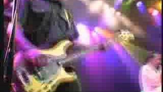 The Vandals &quot;Behind The Music&quot;