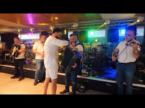 Gabi Iorga ✨ Party 35 ✨ ( Borko Radivojevic & Tigrovi )