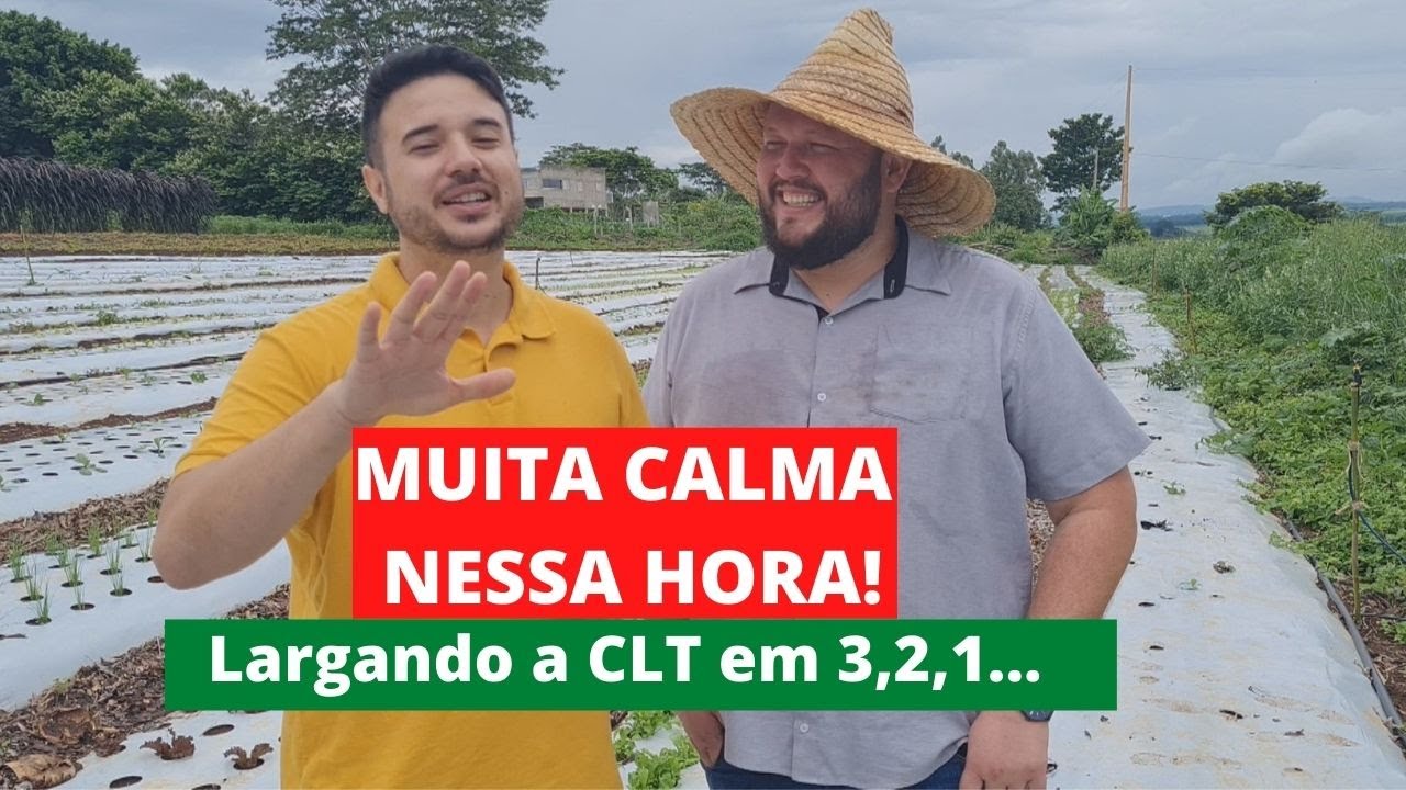 Largar CLT para empreender em uma horta é um bom negócio? Como largar a CLT para empreender?