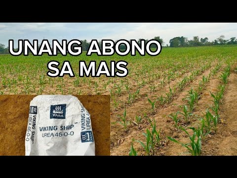 UNANG PAG-ABONO SA MAIS