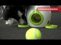 Wilson interactief hondenspeelgoed + tennisbal 18cm | video 1