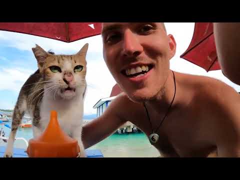 Gili Trawangan first impressions 2022