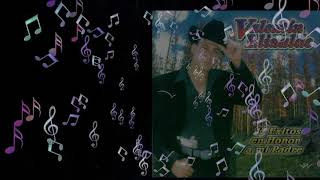 Un Sueño de Tantos - Valentín Elizalde | El Gallo de Oro