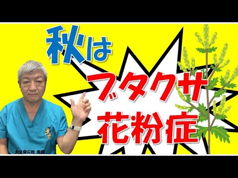 ブタクサに対する生物学的助っ人