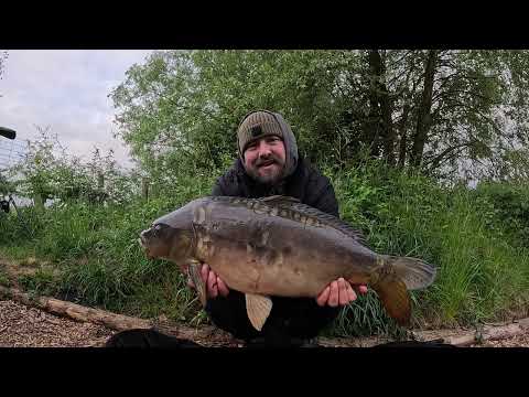 Syndicates diary’s Vlog #3 | broom pit | POV 4K