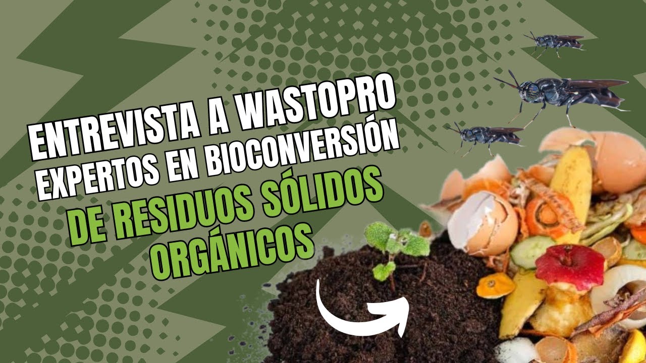 Entrevista a Wastopro, expertos en bioconversión de residuos sólidos orgánicos.
