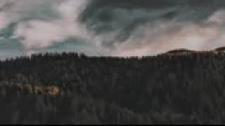 ¿Quien dice? Marcos Menchaca (Letra)