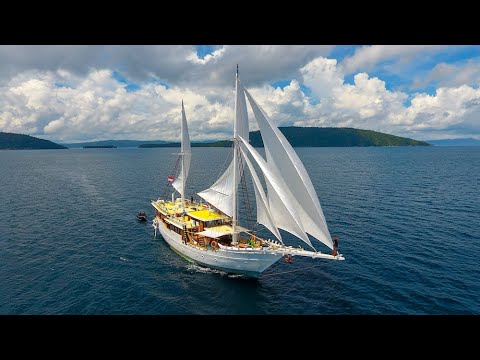 Teman Liveaboard Raja Ampat and Komodo -  Premier Liveaboard Diving