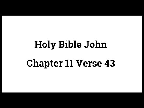 Holy Bible John 11:43