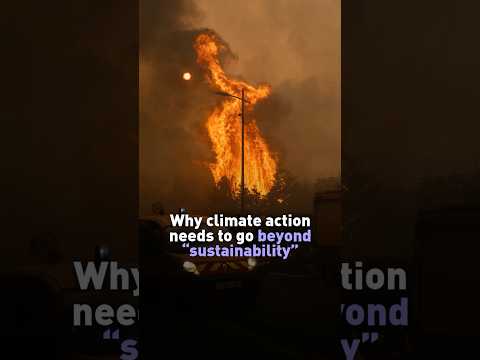 Why climate action needs to go beyond “sustainability”