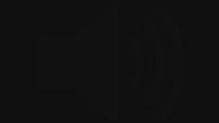 Waka Flocka Flame - Luv Dem Gun Sounds (Bass Boost)