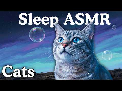 The Most Relaxing Facts About Cats To Fall Asleep To