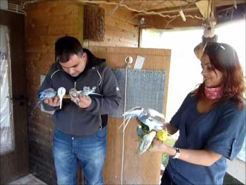 2011 06 13 Tülay und Sahin aus Hamburg beim Wellifluesterer