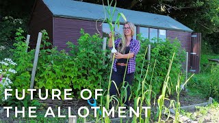 The Allotment in July + Some Big News