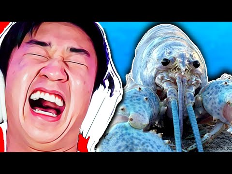 The HARDEST I've EVER LAUGHED!!! | You Laugh You Lose #33 | TikTok Edition