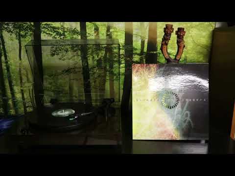 Animals As Leaders - Animals As Leaders (2009) Full Album Vinyl Rip