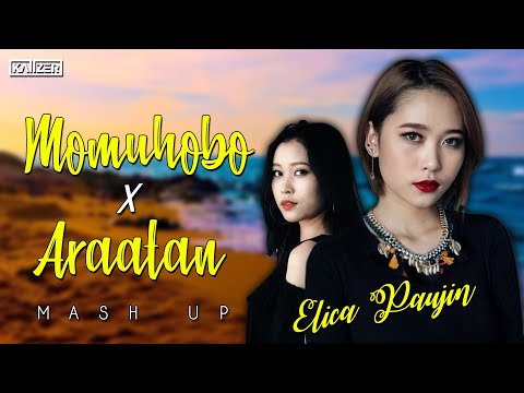 Momuhobo X Araatan MashUp | Elica Paujin