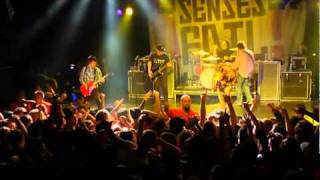 Senses Fail- The Irony Of Dying On Your Birthday