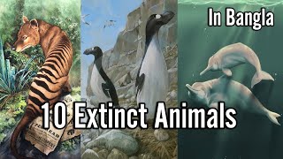 10 Extinct Animals In Bangla | ১০টি বিলুপ্ত প্রাণী #extinction #extinctanimals #animals