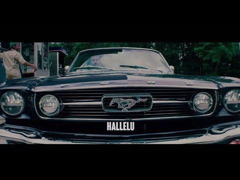 Lev Tahor - Hallelu (Official Music Video)