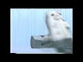 Canon Printers Television Commercial 2001