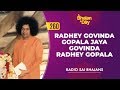 260 - Radhey Govinda Gopala Jaya Govinda Radhey Gopala | Radio Sai Bhajans