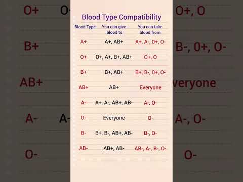 Blood Type Compatibility #gk #shorts