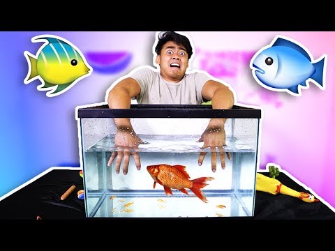 WHATS IN THE BOX - UNDERWATER EDITION!