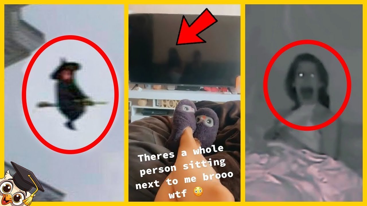 30 Vídeos Do TikTok Que Vale a Pena Assistir Antes de Serem Banidos - Parte 3