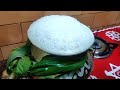 Pongal Vlog How We Celebrate Pongal In Our Home