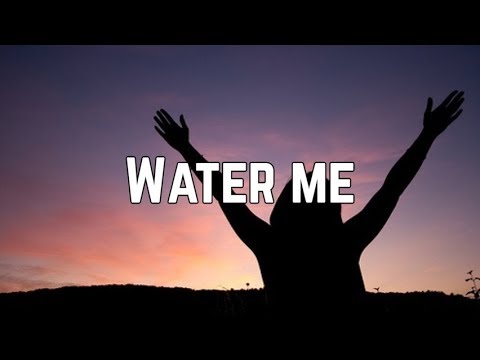 Lizzo - Water Me (Lyrics)