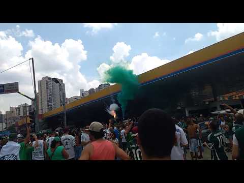 Antes do Último Jogo do Brasileiro 2016 - Palmeiras 1 x 0 Chapecoense