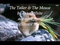 The Tailor and the Mouse 0001 