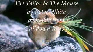 The Tailor and the Mouse 0001