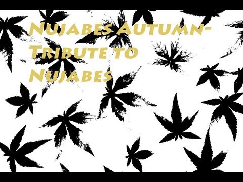 Luv (Sic) Pt3 - Nujabes Tribute