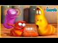 Larva Full  Episode | 1 Hour Compilation 🍟 Cartoons - Comedy - Comics 🥟 New Animation Movies 2022