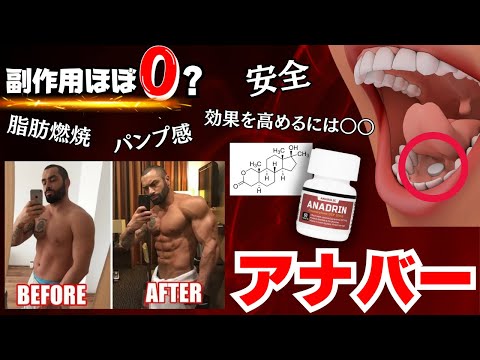 ボリイについて詳しく解説