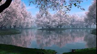 Because of You, by Beegie Adair