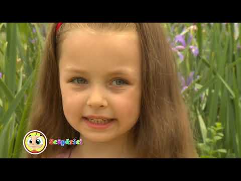 Alexandrina Tofan   Surioara mea   ScăpăriciTV