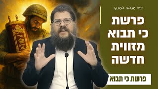 ״כי תבוא אל הארץ - מהפיגועים ועד הניסים הגלויים״ פרשת כי תבוא תשפ"ה • הרב שניאור אשכנזי (הרב שניאור אשכנזי) - התמונה מוצגת ישירות מתוך אתר האינטרנט יוטיוב. זכויות היוצרים בתמונה שייכות ליוצרה. קישור קרדיט למקור התוכן נמצא בתוך דף הסרטון ״כי תבוא אל הארץ - מהפיגועים ועד הניסים הגלויים״ פרשת כי תבוא תשפ"ה • הרב שניאור אשכנזי (הרב שניאור אשכנזי) - התמונה מוצגת ישירות מתוך אתר האינטרנט יוטיוב. זכויות היוצרים בתמונה שייכות ליוצרה. קישור קרדיט למקור התוכן נמצא בתוך דף הסרטון