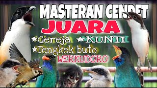 Download lagu MASTERAN CENDET JUARA FULL TEMBAKAN PANJANG TENGKEK BUTO WERKUDORO MEWAH LENGKAP KEKINIAN TERBARU mp3 Download lagu MASTERAN CENDET JUARA FULL TEMBAKAN PANJANG TENGKEK BUTO WERKUDORO MEWAH LENGKAP KEKINIAN TERBARU mp3