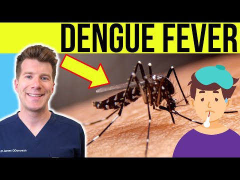 Doctor explains Dengue Fever | Causes, Symptoms, Treatment and Prevention