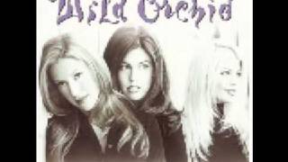Wild Orchid - Wasted Love